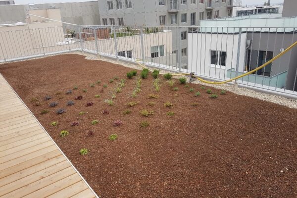 NCA Infrastruktur Leistungen (8)