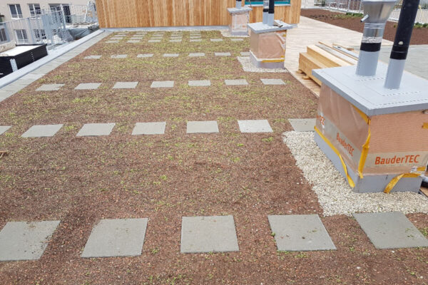 Eigentumswohnanlage Stammersdorf (4)